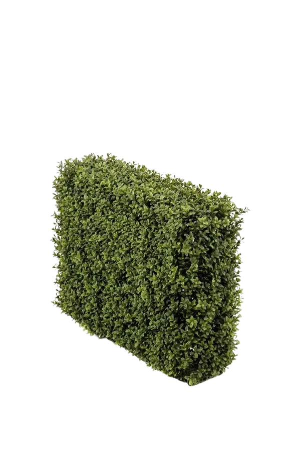 Künstliche Buchsbaumhecke - Jannis | 70x50 cm