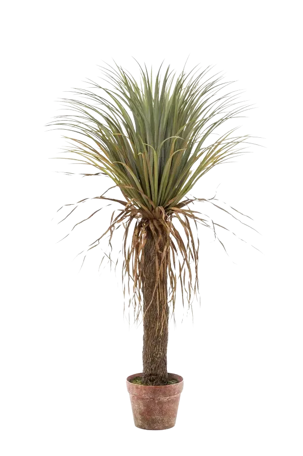 Künstliche Yucca Palme - Kristina | 110 cm