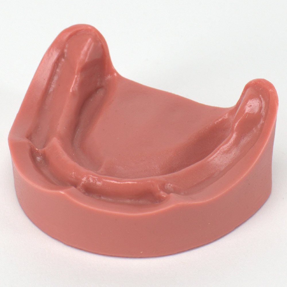 GX98513_Zahnmodell_Epoxi_UK_zahnlos__St Zahnmodell Epoxi UK zahnlos St