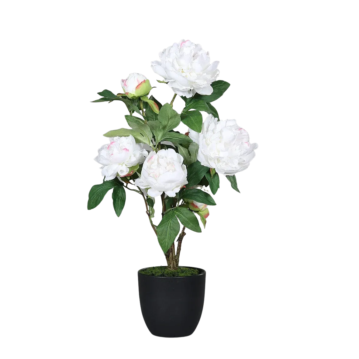 Künstliche Pfingstrose - Diletta | 57 cm