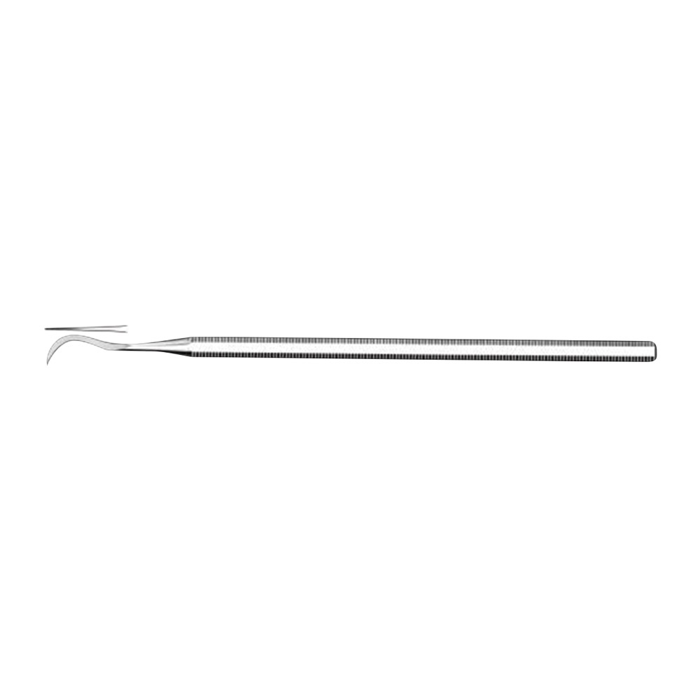 Zahnreiniger 1000/32 St