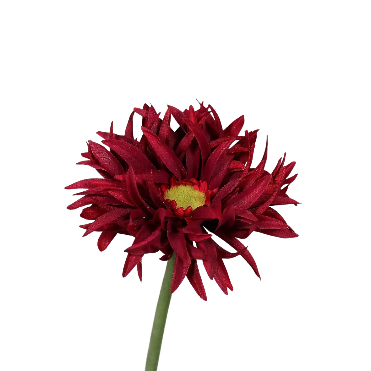 Künstliche Gerbera gefranzt - Jeli | 57 cm