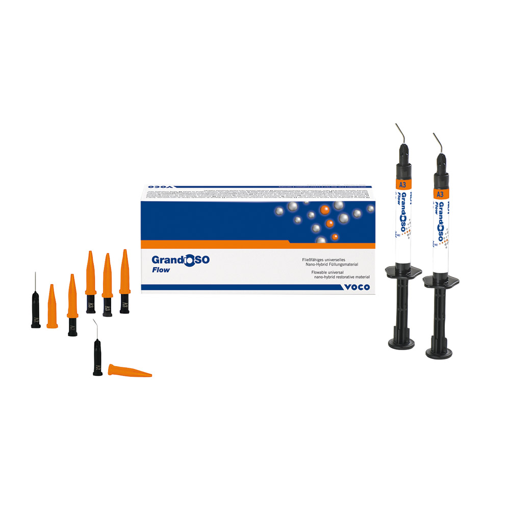 GX211055_GrandioSO_Flow_B1_Spritze_2x2g