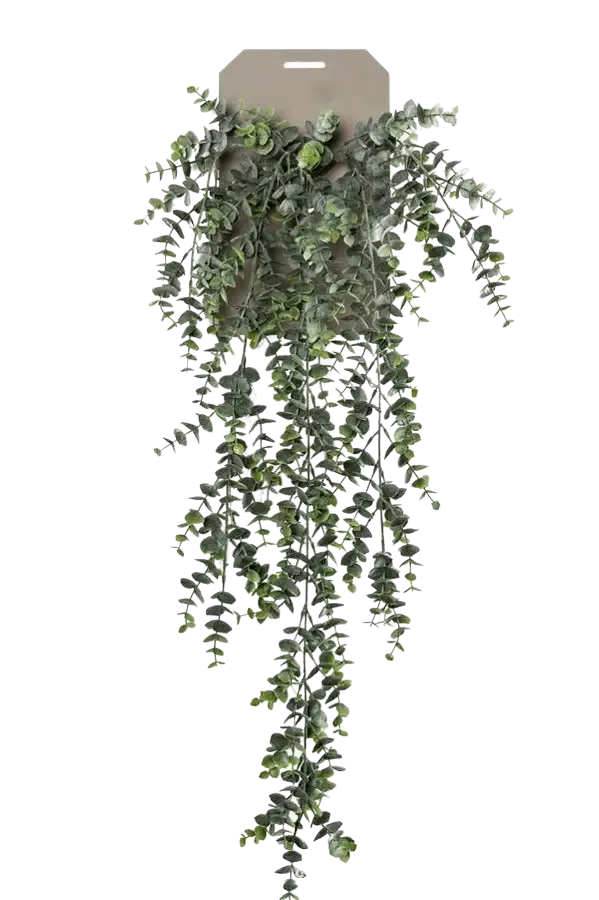 Künstlicher Hänge-Eucalyptus - Richard | 75 cm