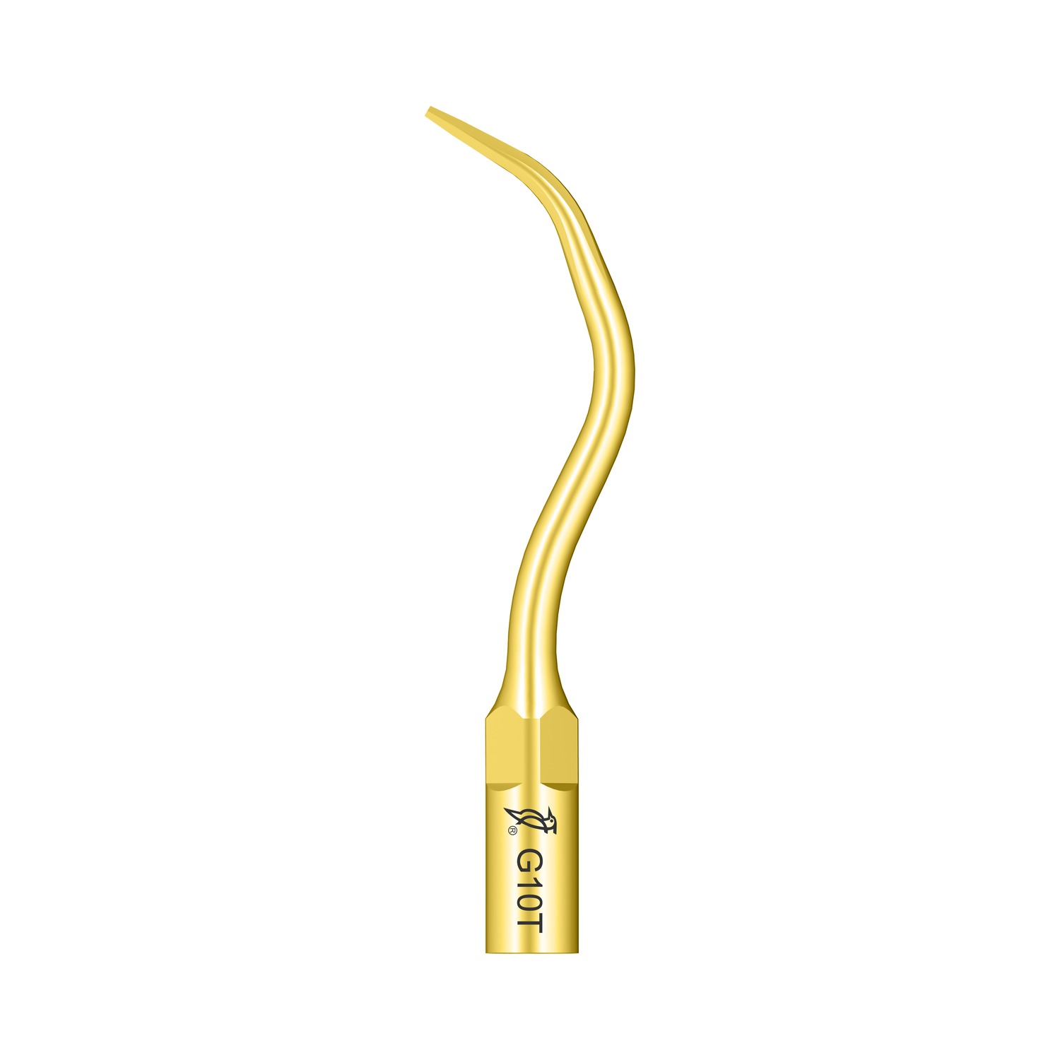 Woodpecker Ultraschallspitze G10T passend für den Einsatz mit EMS®