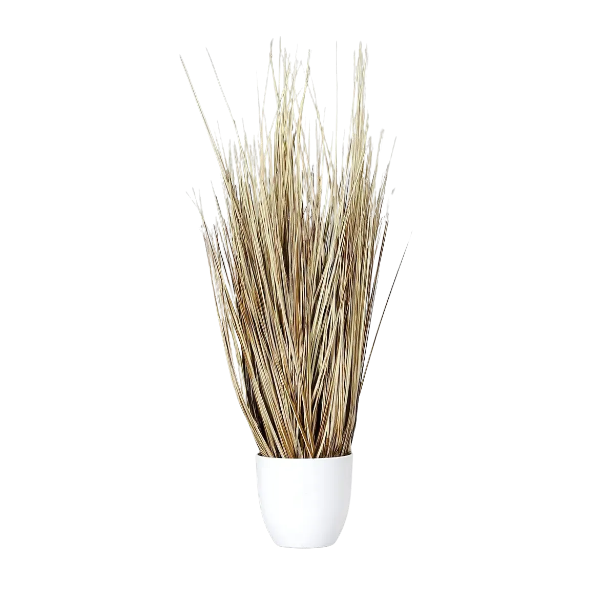 ERKODENT Unterziehfolien UZF - Packung 50 Stück weiß, Universal-UZF, Ø 120 mm, Stärke 0,1 mm