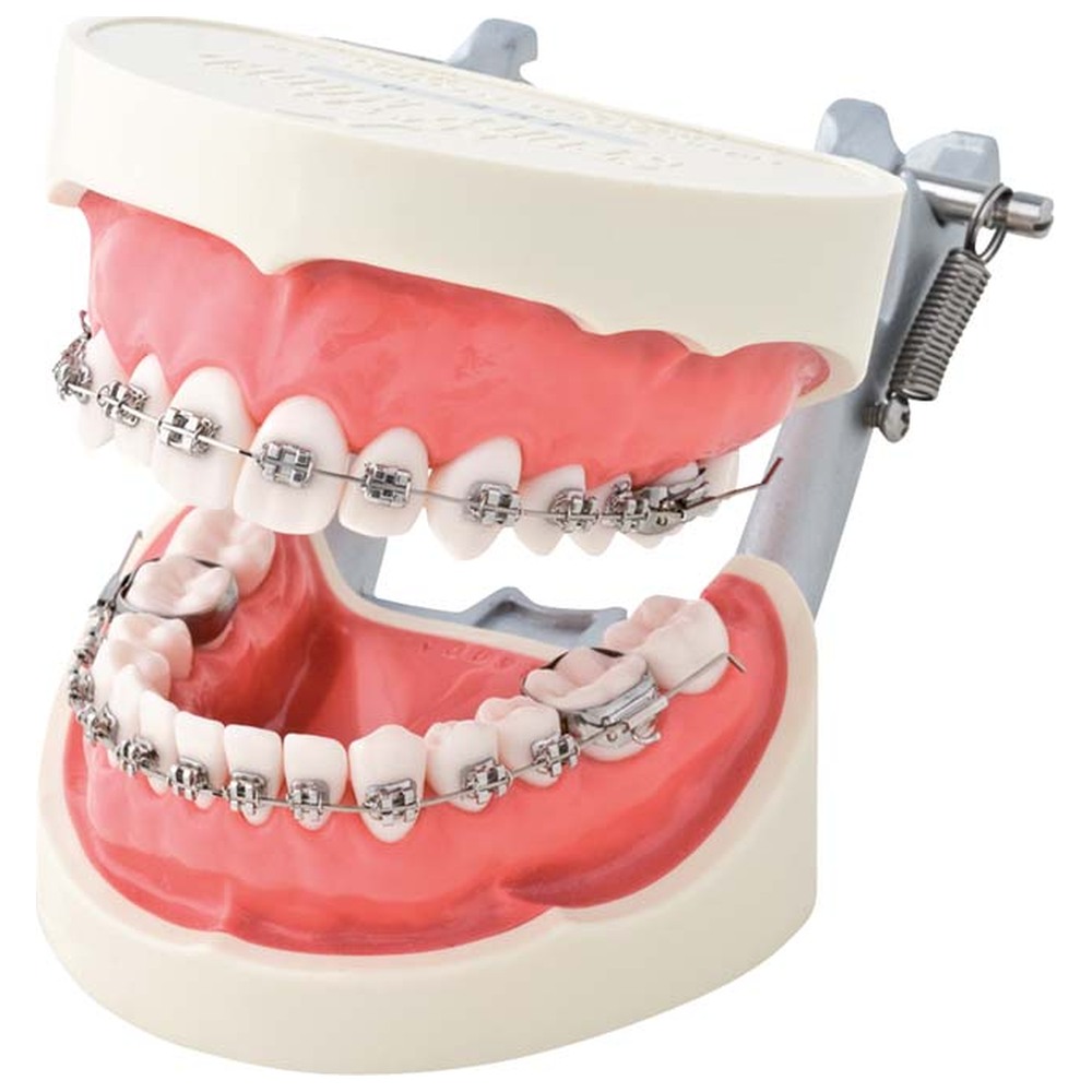 Morita Brackets- Demonstrationsmodell D50D-JME9 - Stück