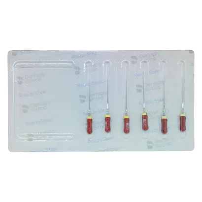 MAILLEFER INSTRUMENTS HOLDING Sàrl READYSTEEL K-Flexofiles 25mm ISO025 Pa 6
