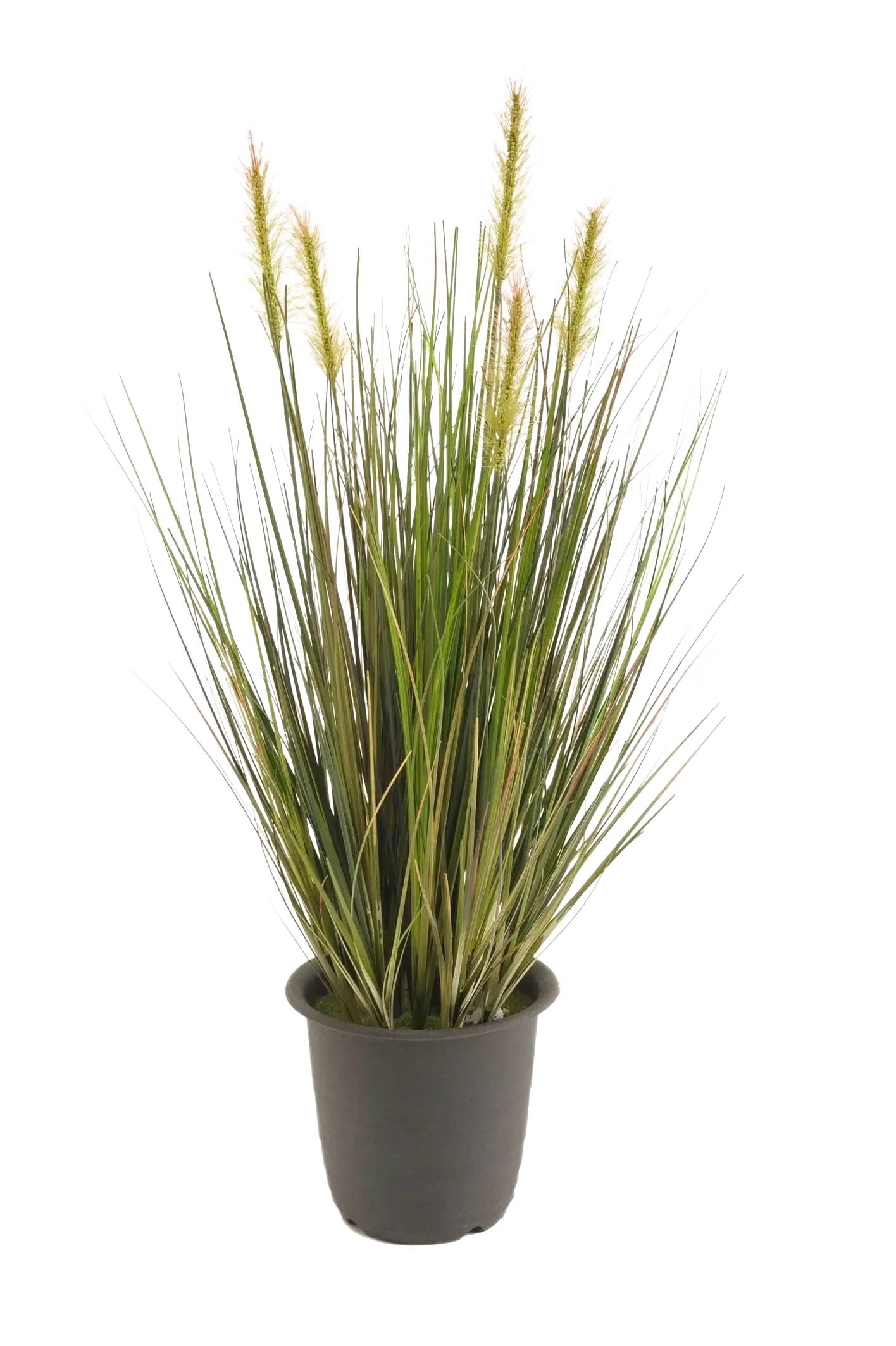 Künstliches Gras - Theodor | 45 cm