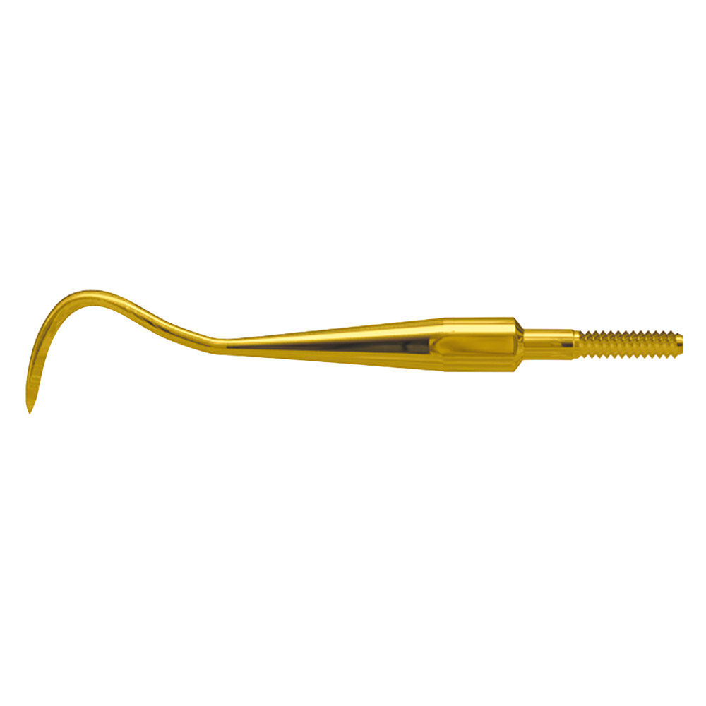 Scaler Eagle Claw A XP Quick Tip AE St