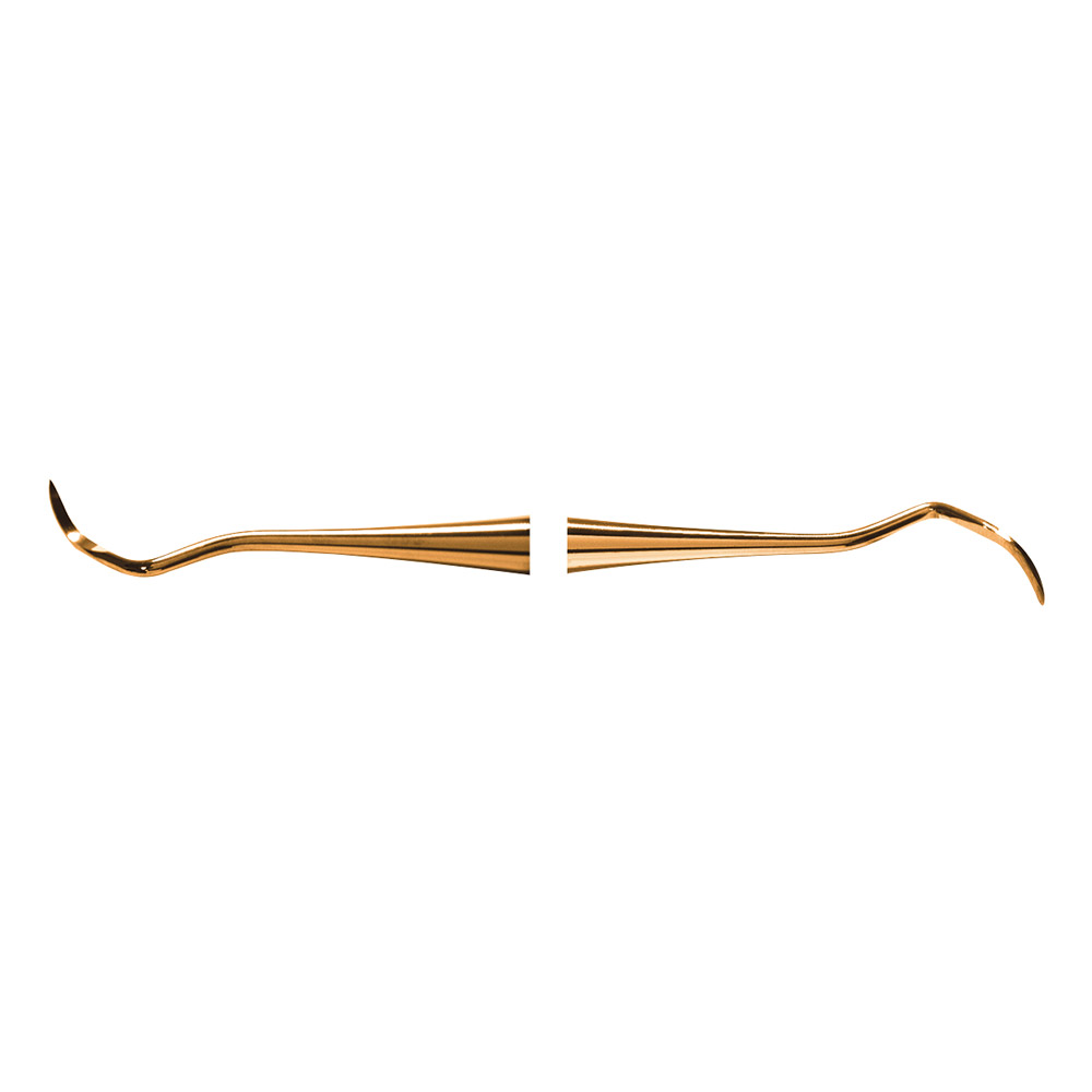 Scaler 204S XPX AE St