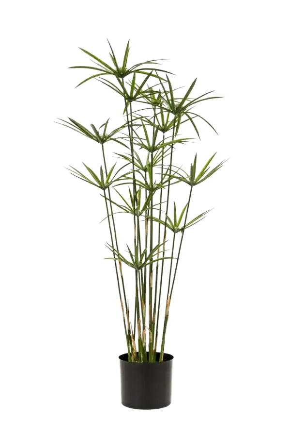 aplanta-419263_aplantaKuenstliches_Zypergras__Lilli__90_cm Künstliches Zypergras - Lilli | 90 cm