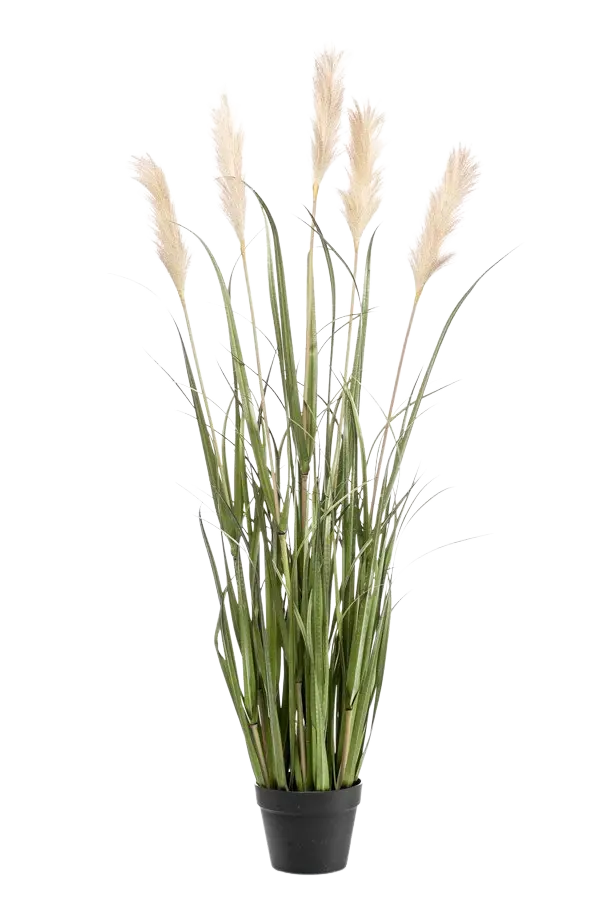 aplanta-425506_aplantaKuenstliches_Pampasgras__Luis__130_cm Künstliches Pampasgras - Luis | 130 cm