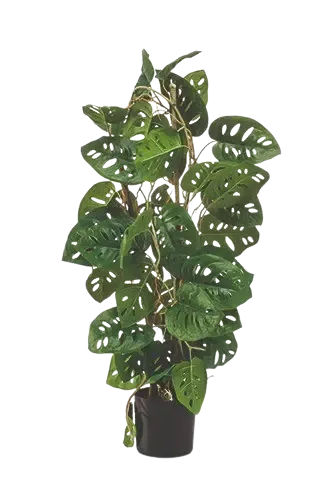Künstliche Monstera - Jonathan | 75 cm