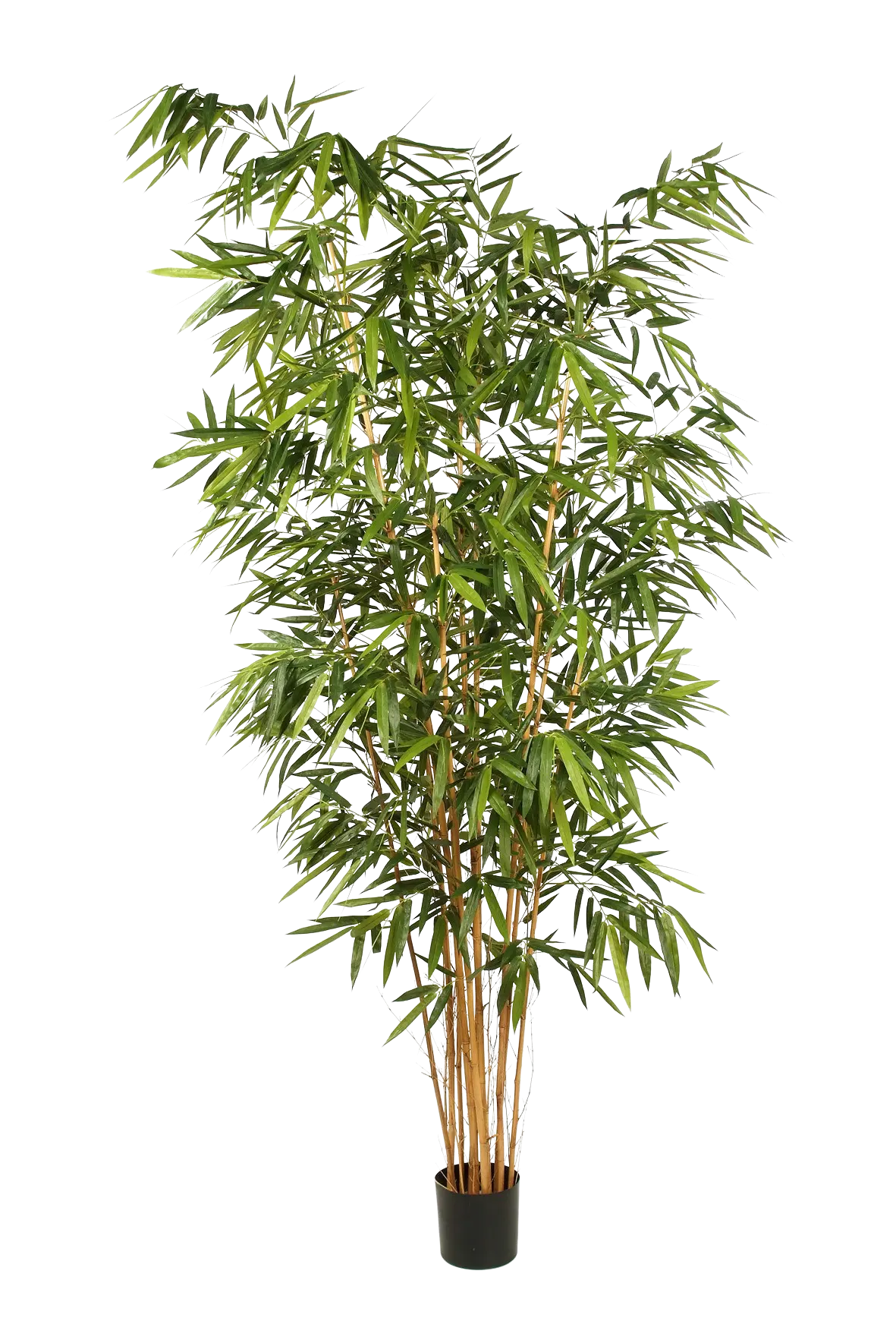 aplanta-34510N_aplantaKuenstlicher_Bambus__Lars__300_cm Künstlicher Bambus - Lars | 300 cm