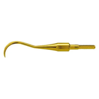 American Eagle Instruments Inc. AE XP Quik-Tip Scaler H7 univ. Ant. St
