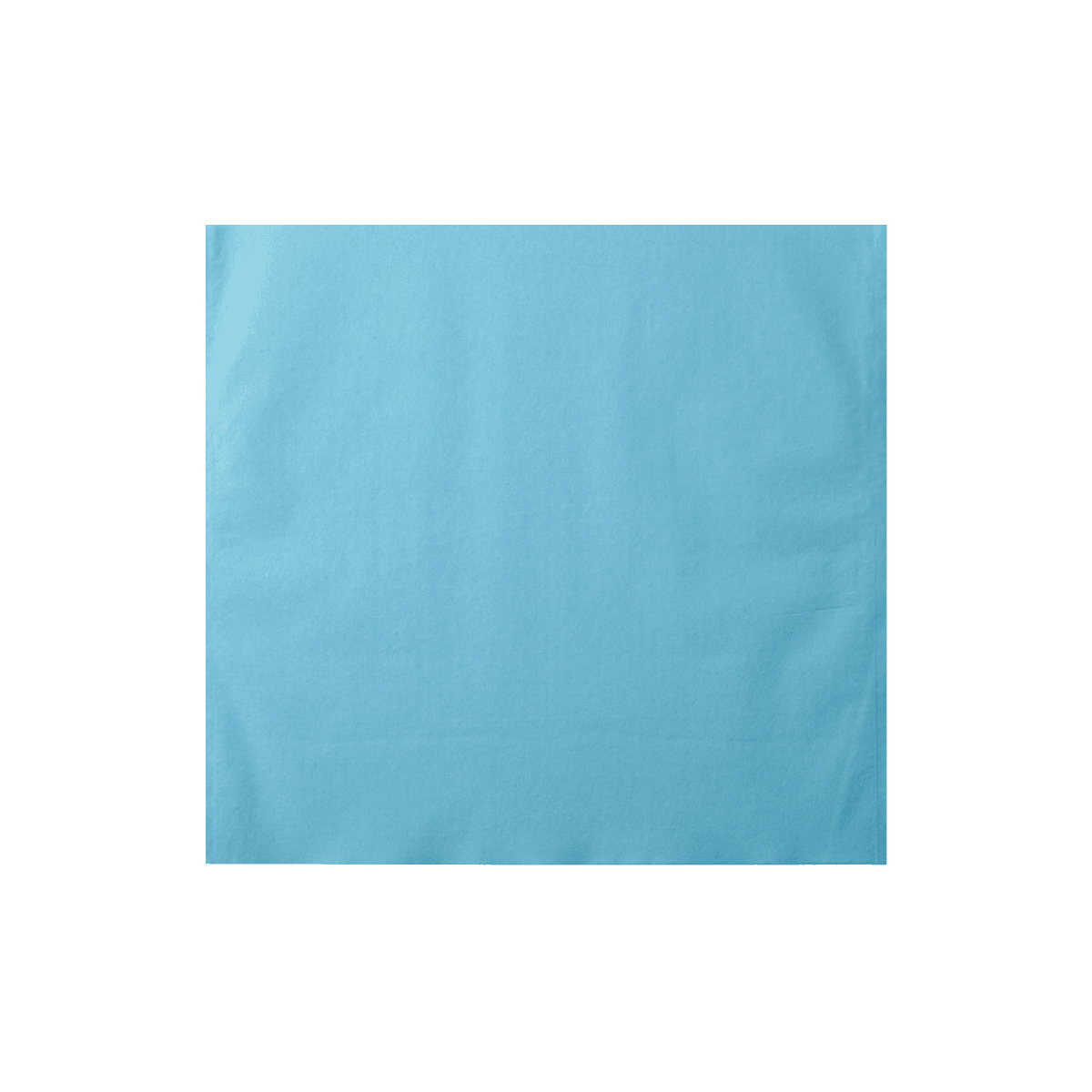 Monoart Kopfschutztaschen 28 x 30 cm Farbe: hellblau (Euronda)