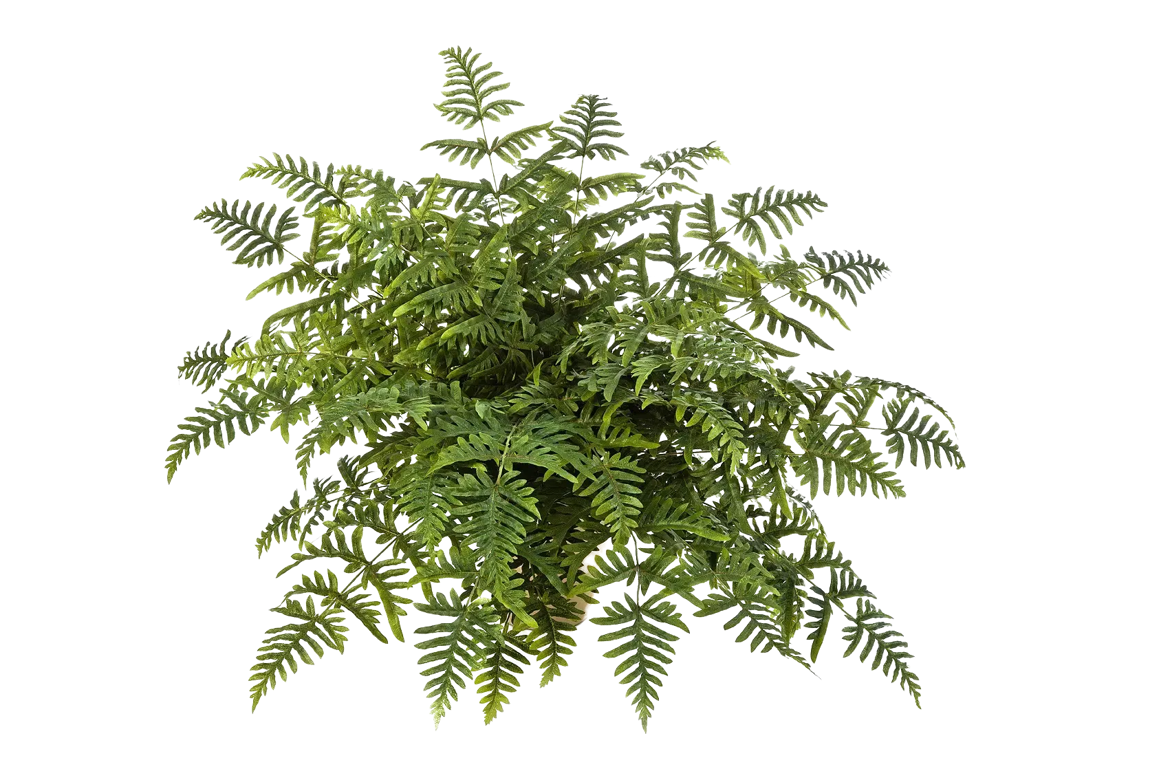 aplanta-1329N_aplantaKuenstlicher_Frauenfarn__Caroline__90_cm Künstlicher Frauenfarn - Caroline | 90 cm