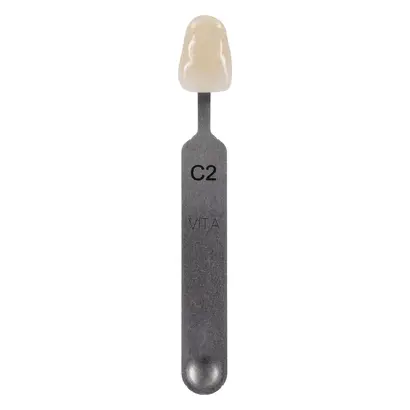 VITA Zahnfabrik H. Rauter GmbH & Co. KG VITA classical Farbmusterstäbchen C2 St