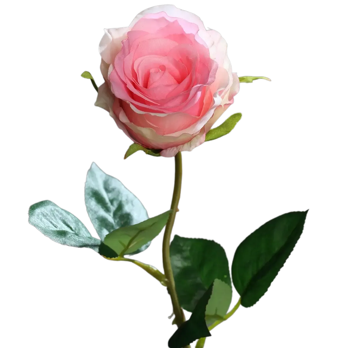Künstliche Rose - Efgenia | 48 cm, halboffen