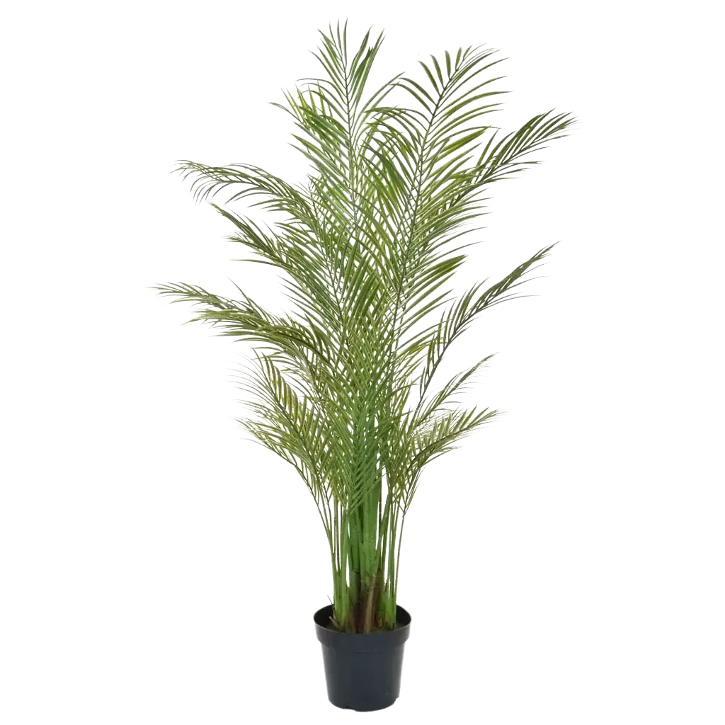 aplanta-TL2758_aplantaKuenstliche_Areca_Palme__Amelie__180_cm Künstliche Areca Palme - Amelie | 180 cm