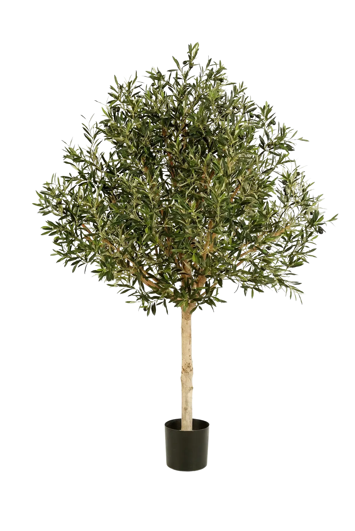 Künstlicher Olivenbaum - Ivy | 150 cm