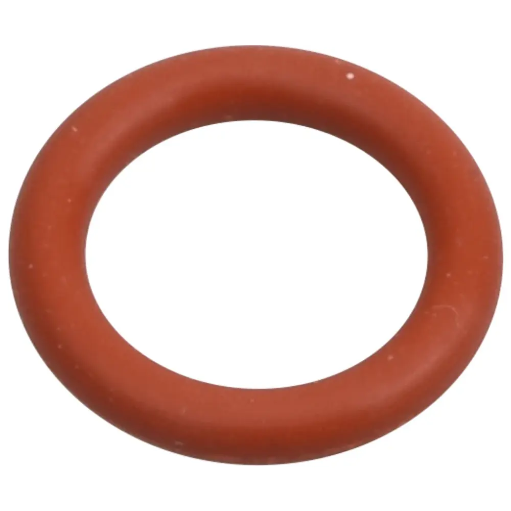 EMS AIR-FLOW® Prophylaxis Master Dichtring - Stück klein