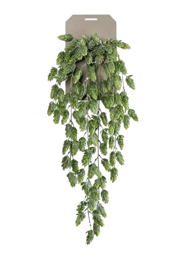 Künstlicher Hänge-Hopfen - Richard | 70 cm
