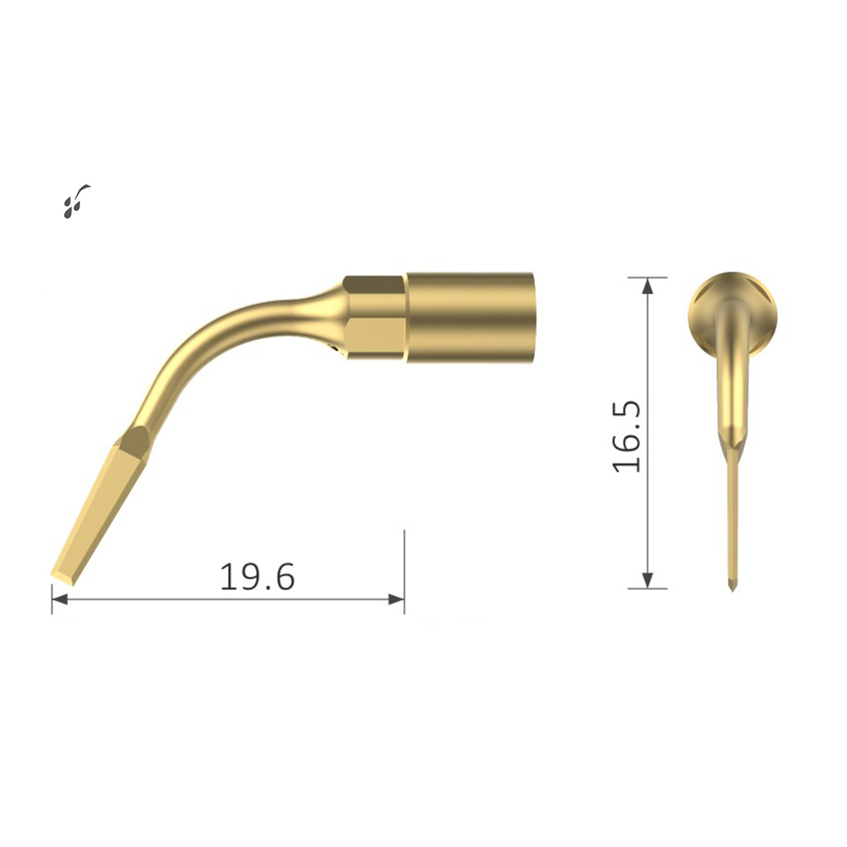 Xpedent Ultraschallspitze EX1 (passend für den Einsatz mit MECTRON® Extraktion Geräten)