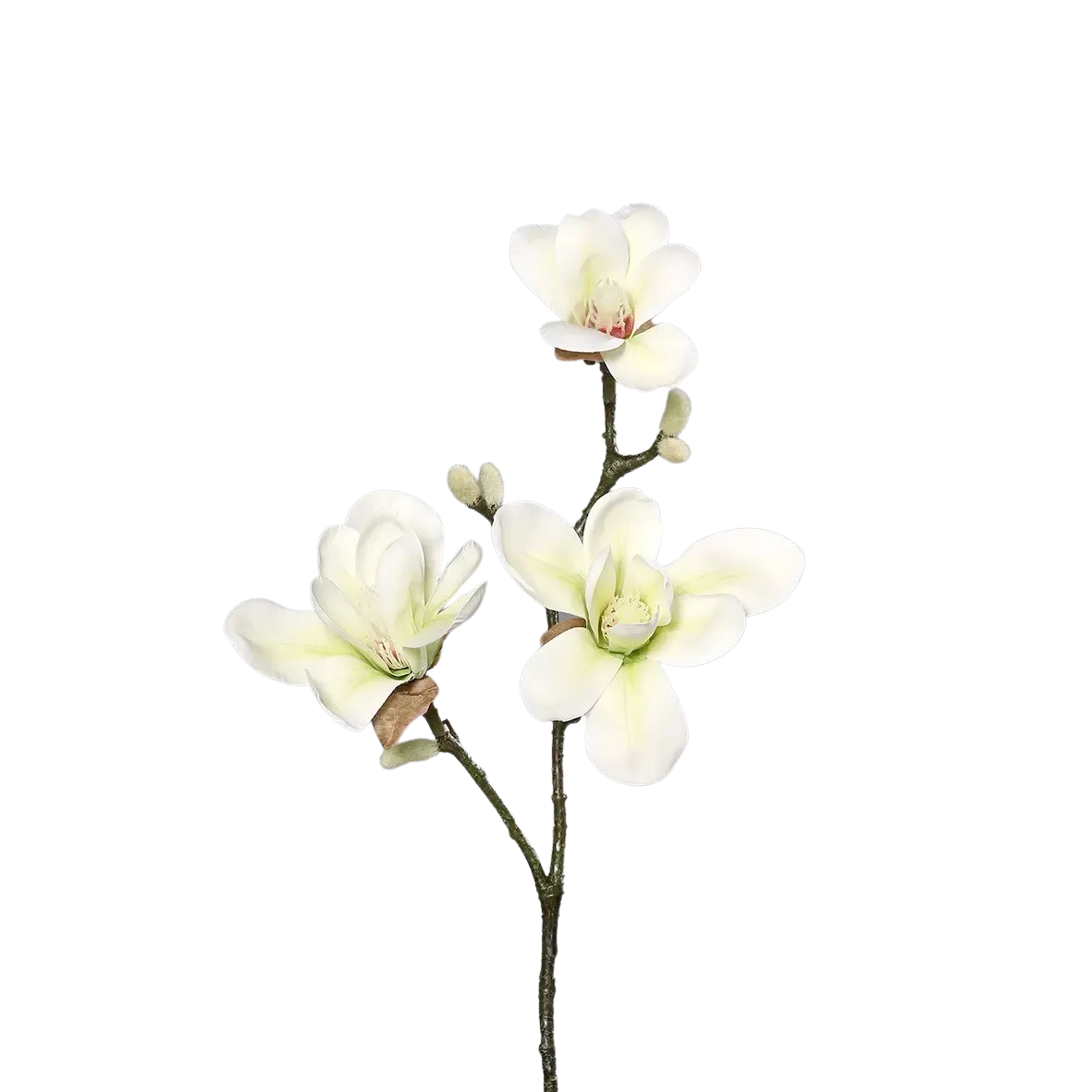 Künstliche Magnolien - Harald | 40 cm