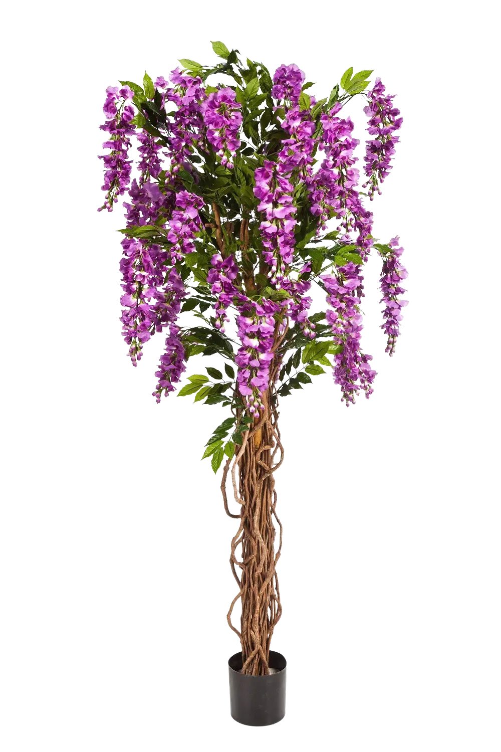 aplanta-42206PU_aplantaKuenstliche_Wisteria_Liana__Rita__180_cm