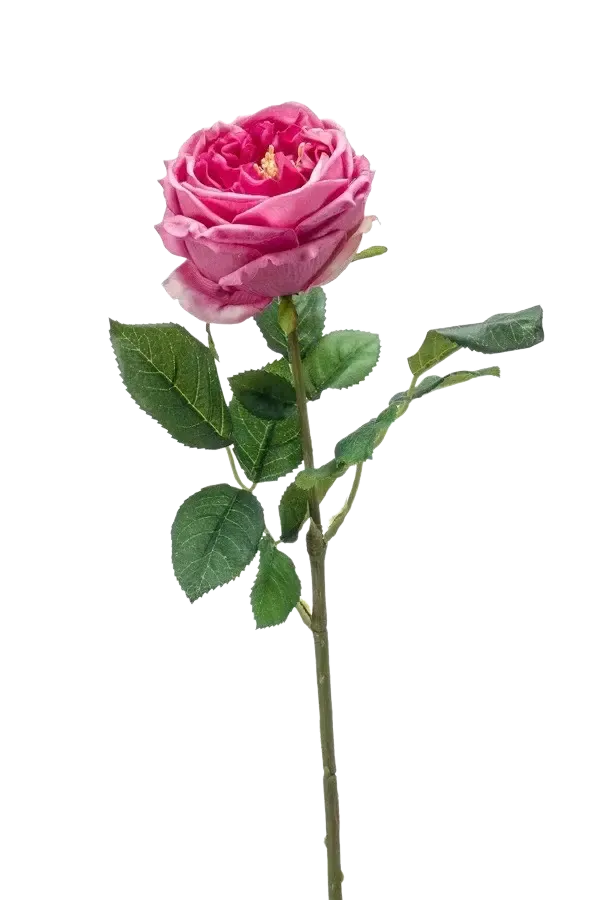 Künstliche Rose - Charlotte | 58 cm