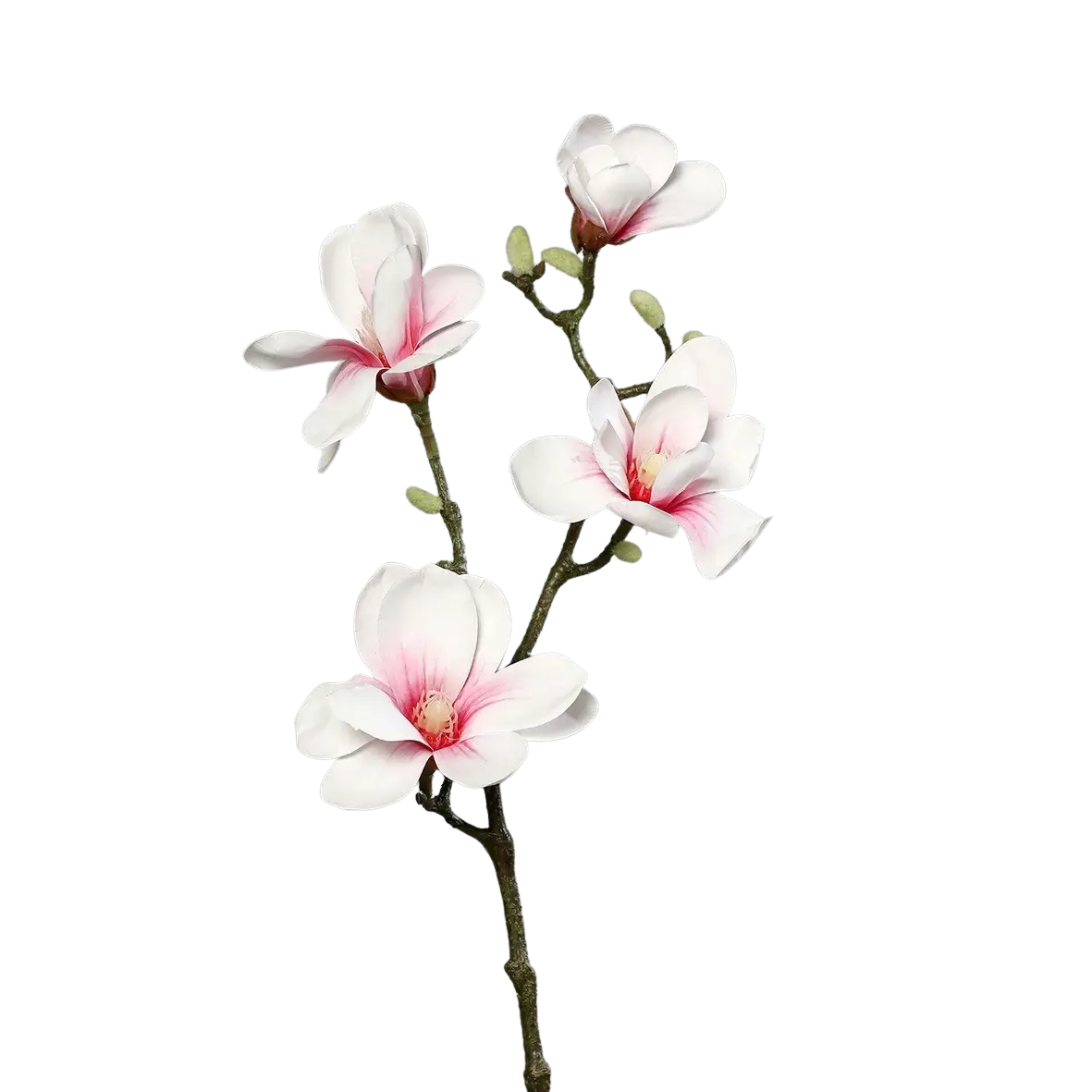 Künstliche Magnolien Zweig - Lea | 80 cm