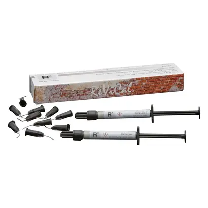 R-dental Dentalerzeugnisse GmbH ReViCal Pulpenüberkappungsmaterial Spritze Pa 2x1g