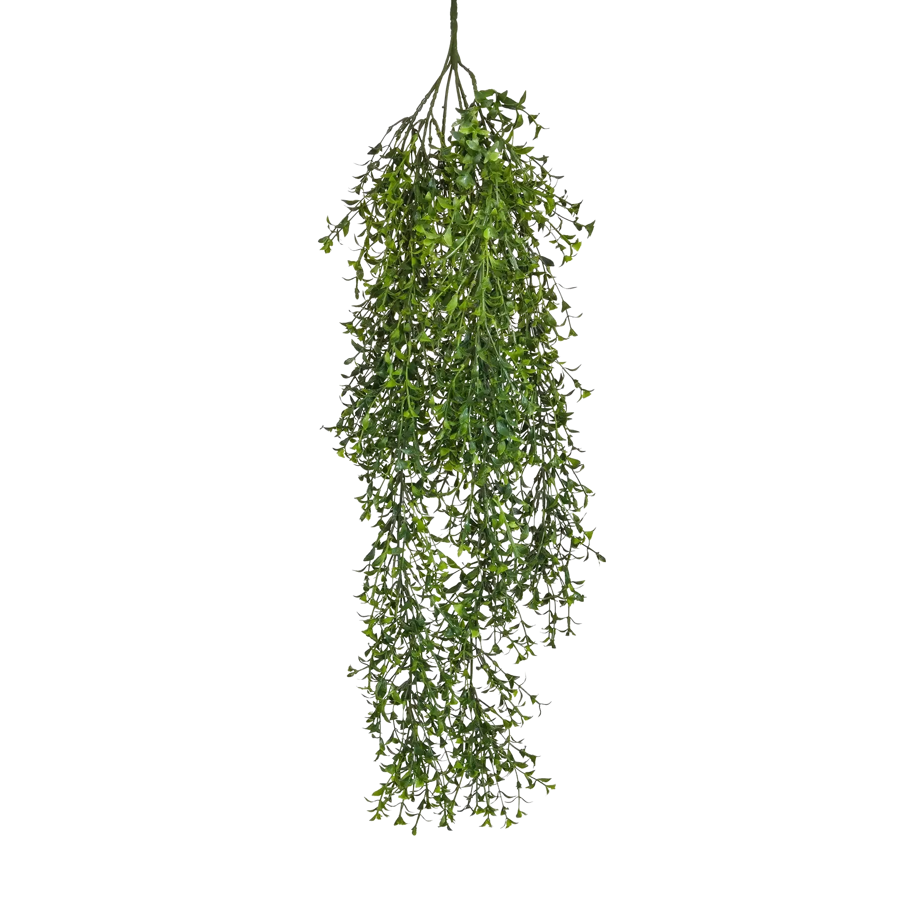 aplanta-TL3240_aplantaKuenstlicher_HaengeFarn__Carsten__80_cm Künstlicher Hänge-Farn - Carsten | 80 cm