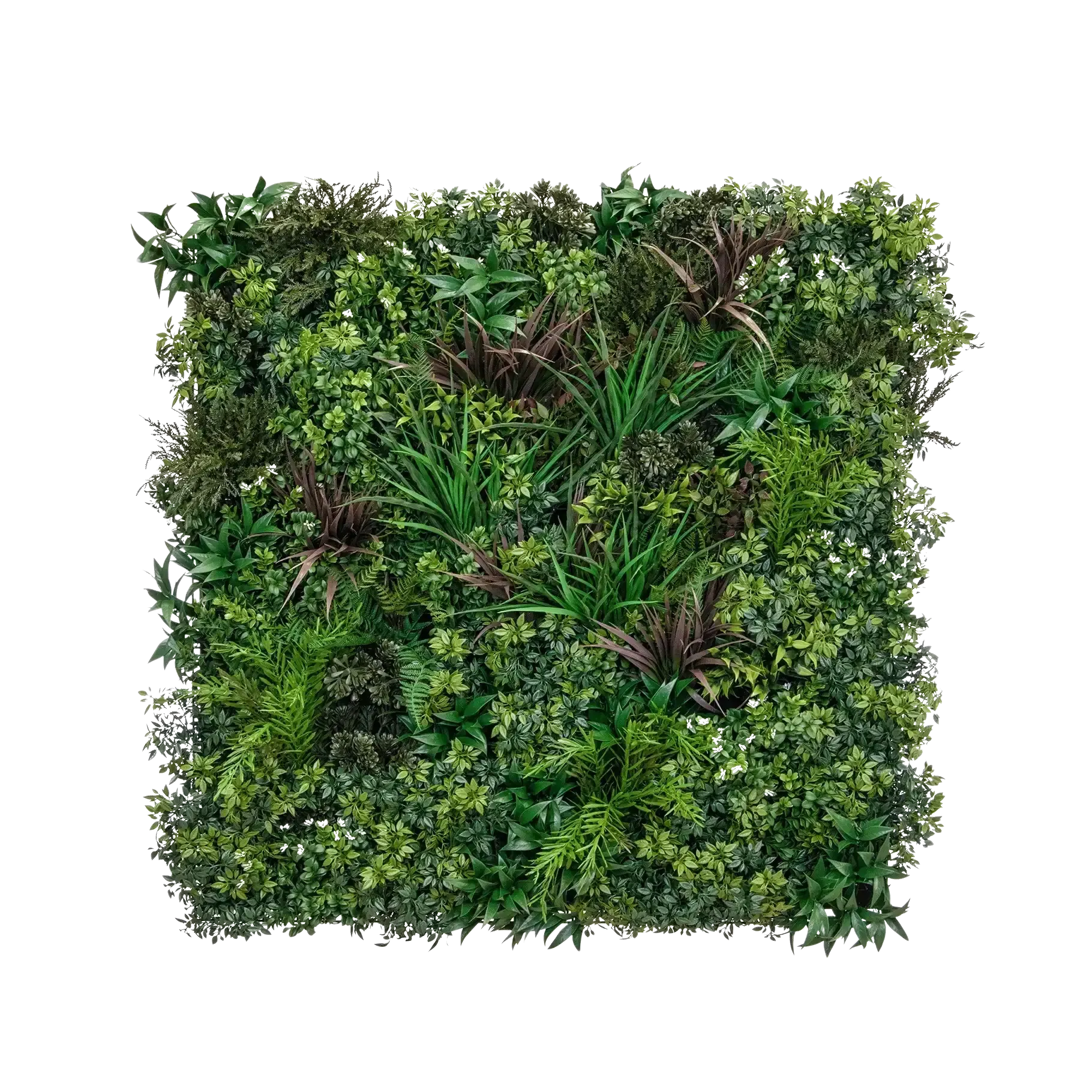 aplanta-TL2381D_aplantaKuenstliche_Pflanzenwand__Wolfgang__100_cm Künstliche Pflanzenwand - Wolfgang | 100 cm