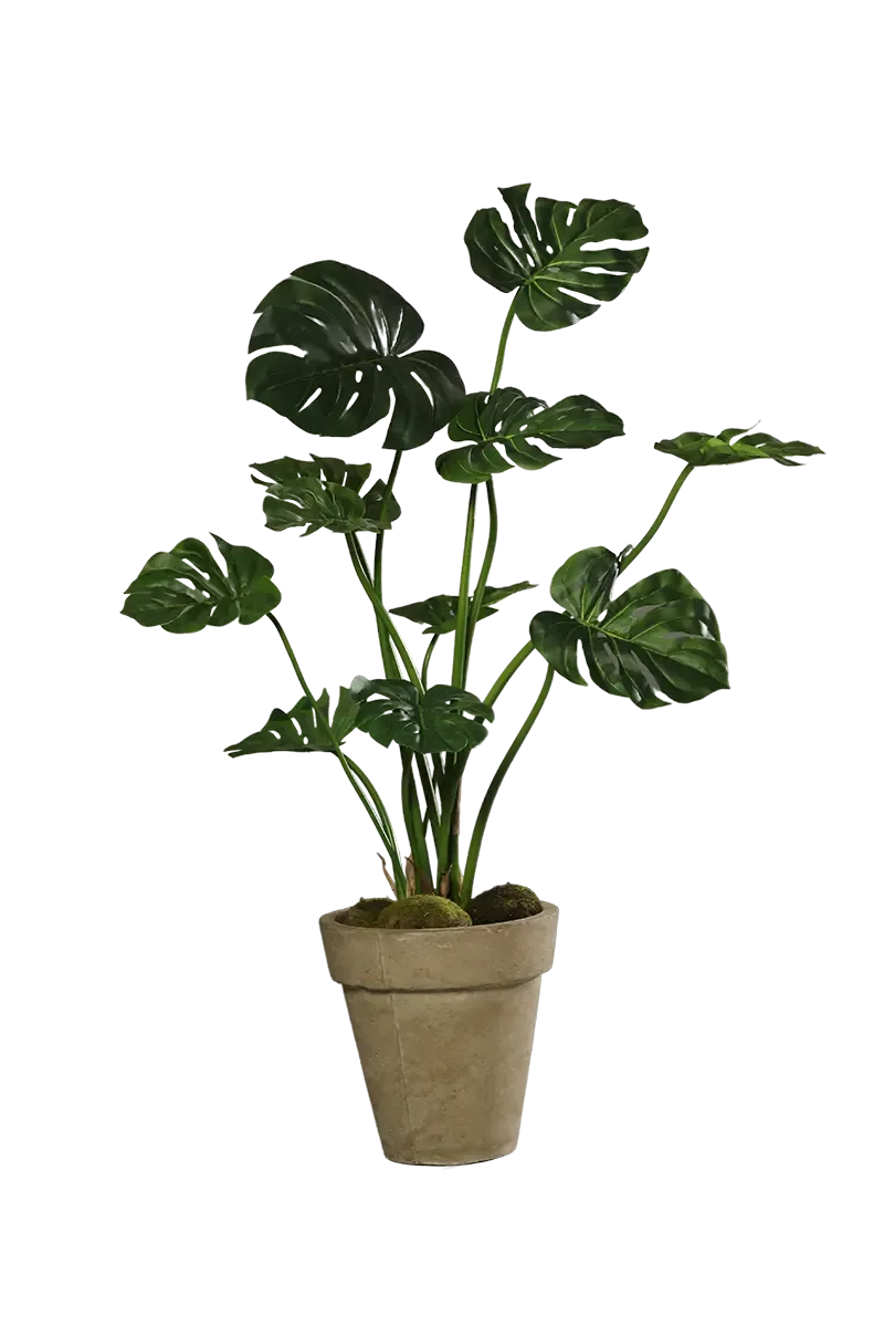 aplanta-57391_aplantaKuenstliche_Monstera__Fatima__100_cm Künstliche Monstera - Fatima | 100 cm