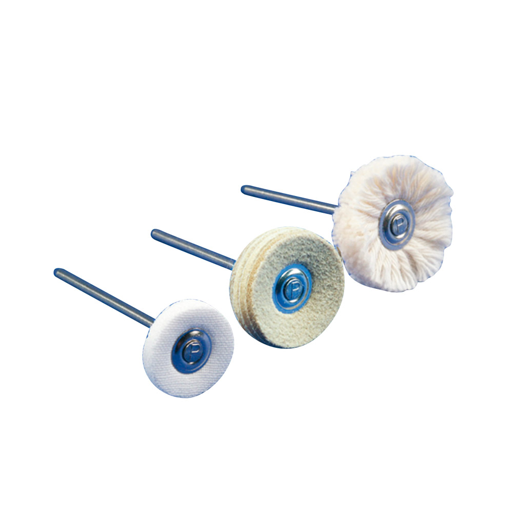 ZR Bürste Hst Ledersch. Ø21mm 6St