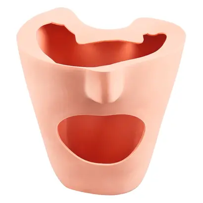 frasaco Gesichtsmaske - Stück P-6GM