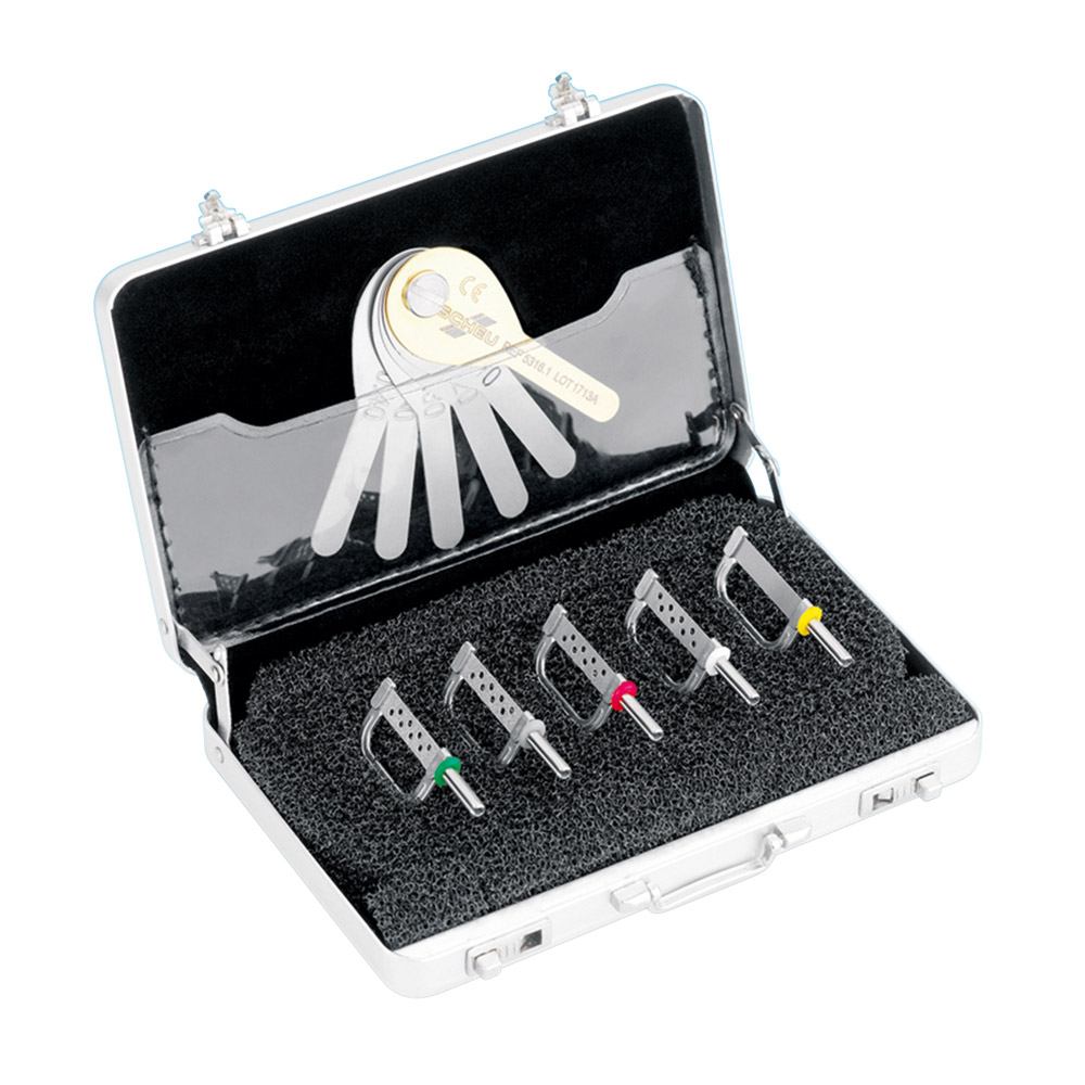 Stripping Tool ECHARRI PST Set