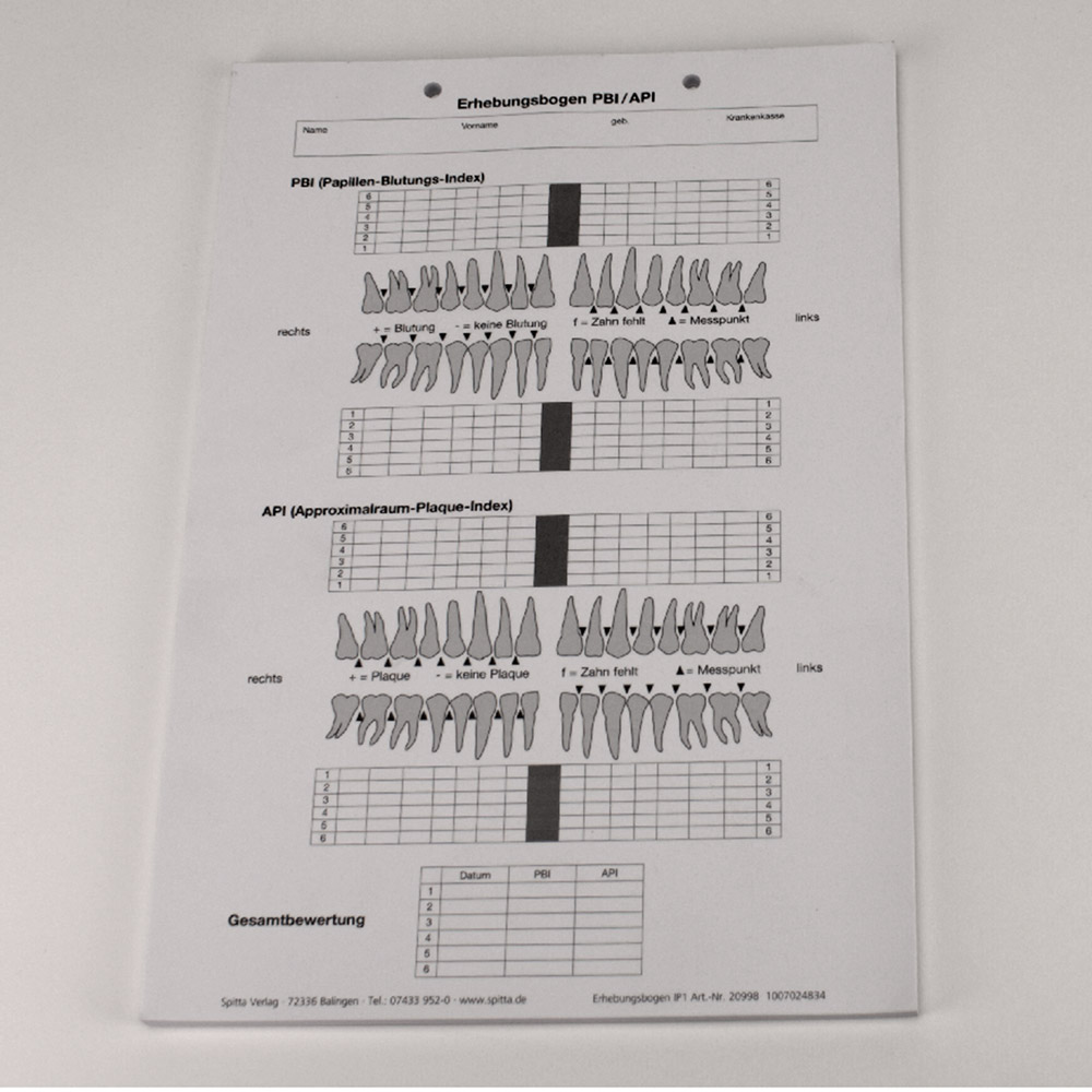 Erhebungsbogen PBI/API A4 100St