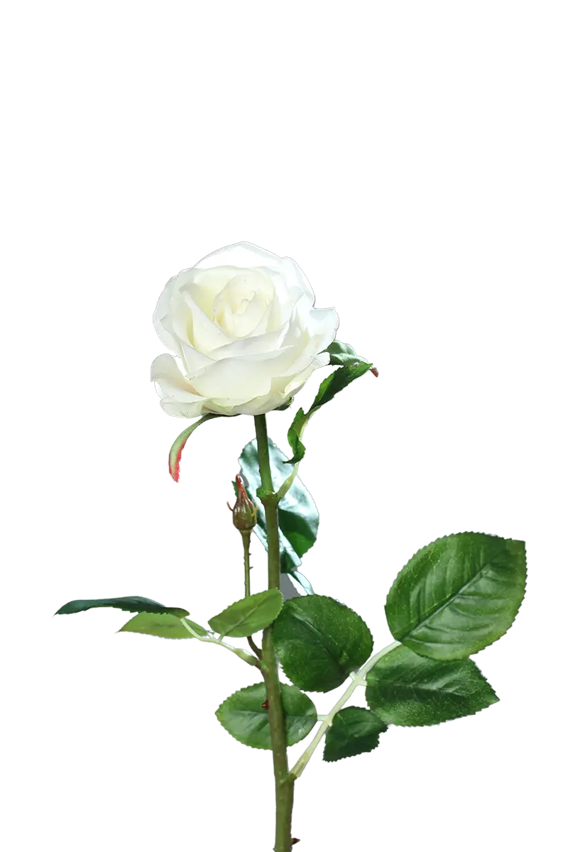 aplanta-43359-05_aplantaKuenstliche_Rose__Alexandros__66_cm Künstliche Rose - Alexandros | 66 cm