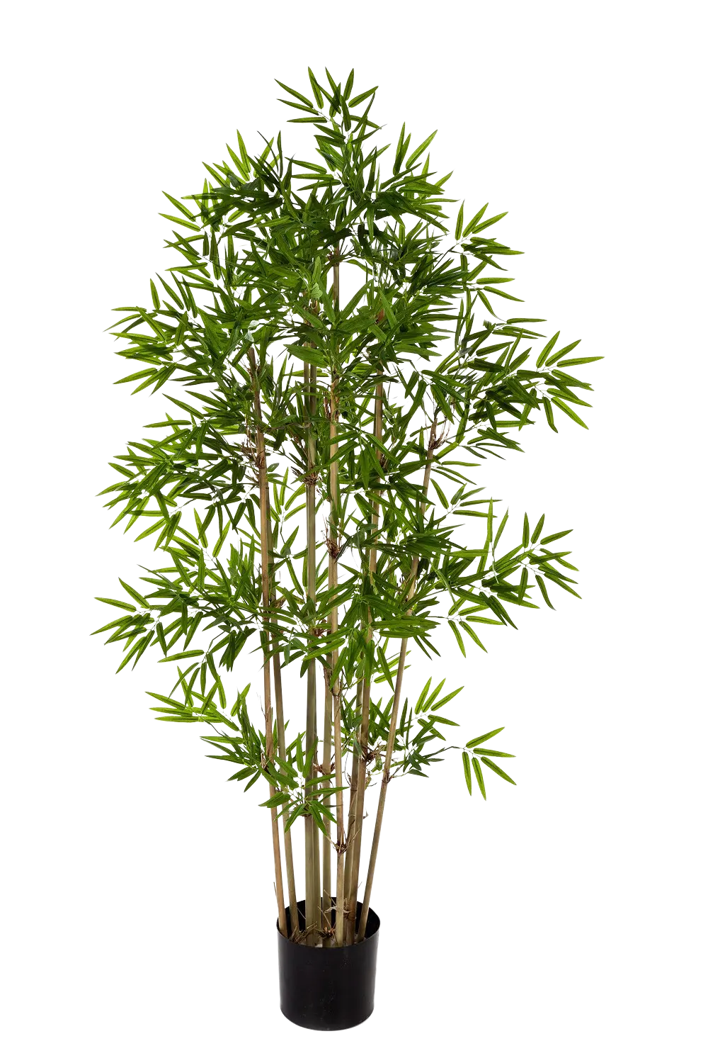 aplanta-34007N_aplantaKuenstlicher_Bambus__Lotta__200_cm Künstlicher Bambus - Lotta | 200 cm