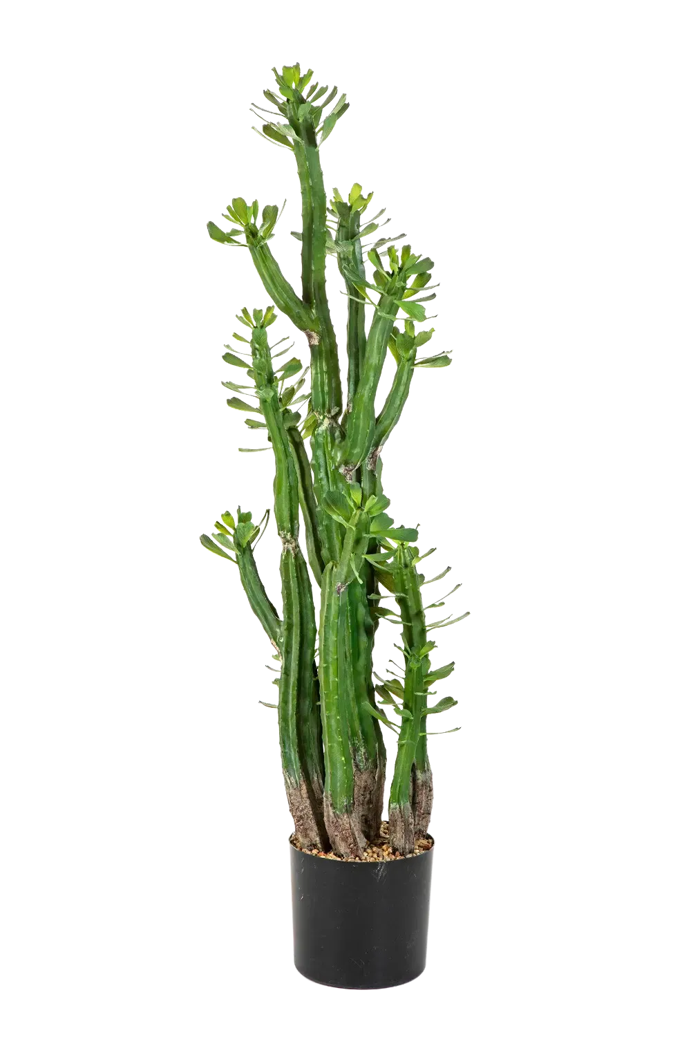 Künstlicher Kaktus - Hermann | 118 cm