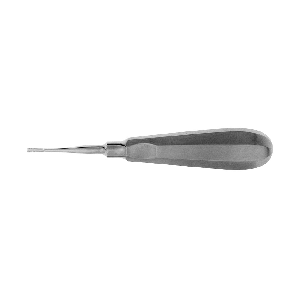 Wurzelheber Lindo-Levien 648-1 St