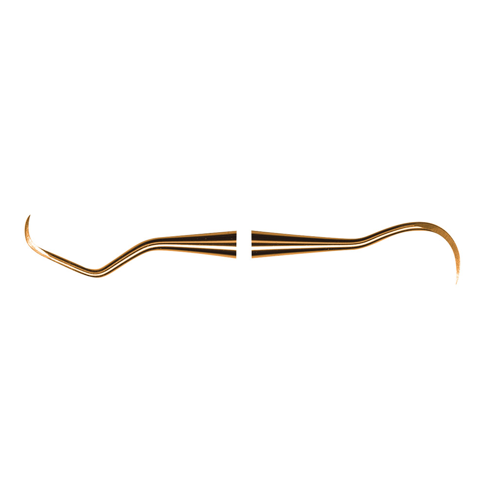 Scaler N137 XPX AE St