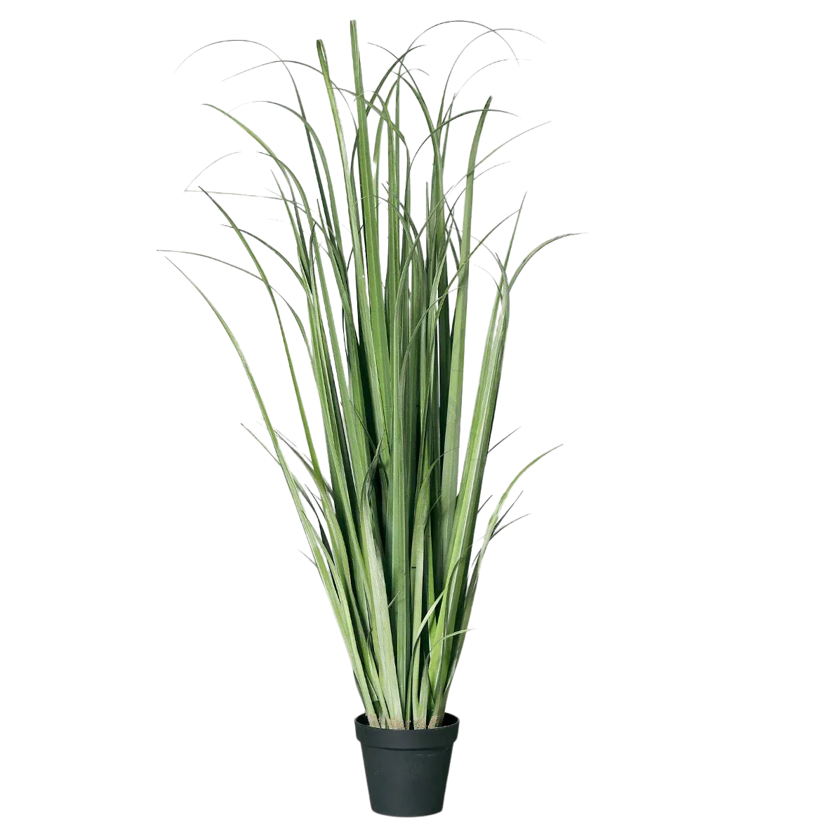 aplanta-56901_aplantaKuenstliches_Schilfgras_im_Topf__Vittoria__180_cm Künstliches Schilfgras im Topf - Vittoria | 180 cm