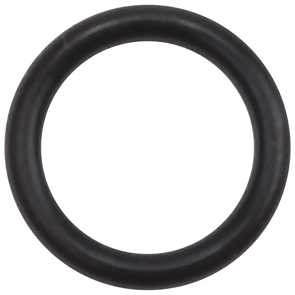 EMS AIR-FLOW® handy O-Ring - Stück für NSK Kupplung