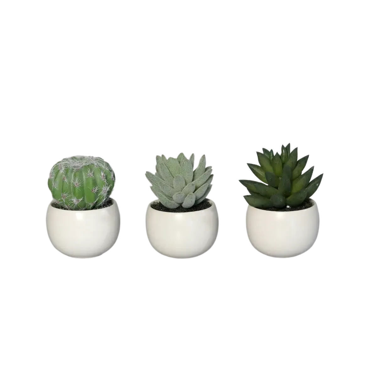 Künstliche Sukkulenten Kaketeen 3 Stück - Bambo | 8 cm, weißer Keramiktopf
