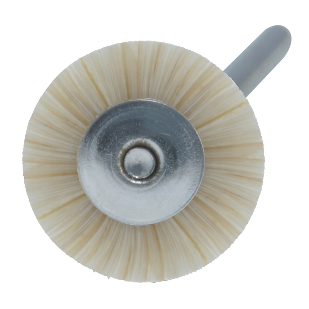 Mini-Bürst.Pferdeh 19mm hellmeliert Dtz